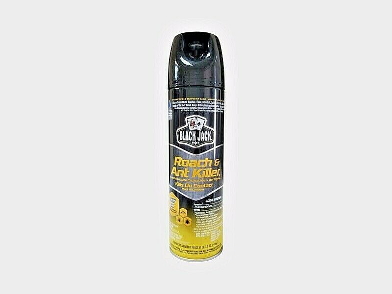 BLACK JACK Roach & Ant Killer Spray 17.5oz