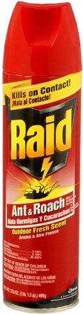 Raid Ant & Roach Killer Spray 17.5oz