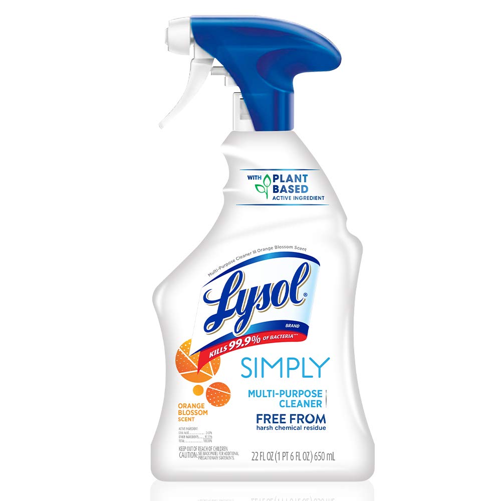 Lysol All-Purpose Cleaner 22oz.