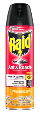 Raid Ant & Roach Killer Spray 17.5oz