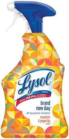 Lysol All-Purpose Cleaner 22oz.