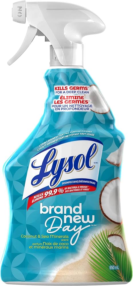 Lysol All-Purpose Cleaner 22oz.