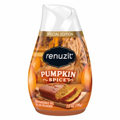 Renuzit Gel Air Freshener 198g