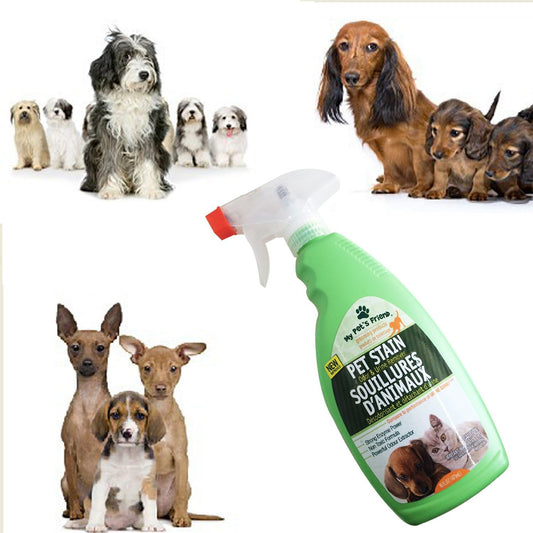 AWESOME Pet Urine Remover 16oz.